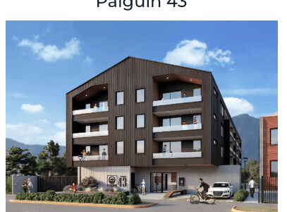 Palguín 43 — departamentos en Pucón
